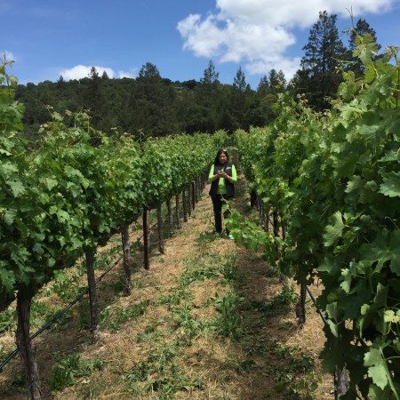Me in a Napa Valley Vineyard (before I knew what regenerative farming was).